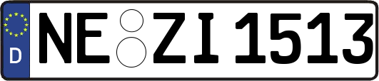 NE-ZI1513