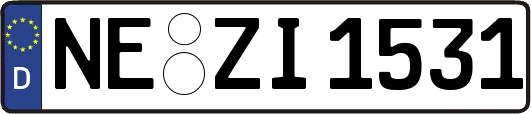 NE-ZI1531