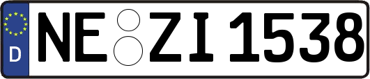 NE-ZI1538