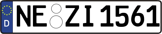 NE-ZI1561