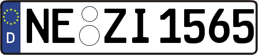 NE-ZI1565