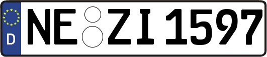 NE-ZI1597