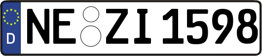 NE-ZI1598