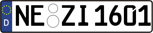 NE-ZI1601
