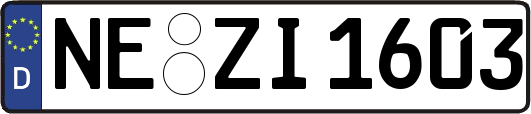NE-ZI1603