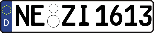 NE-ZI1613