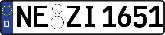NE-ZI1651