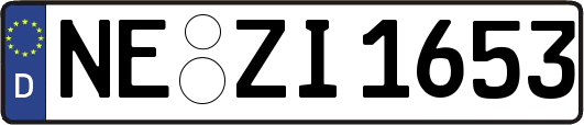NE-ZI1653