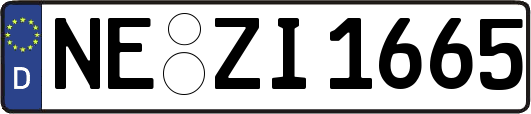 NE-ZI1665