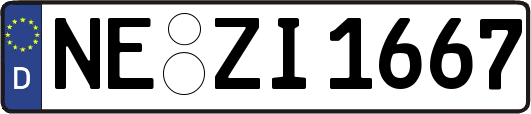 NE-ZI1667