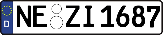 NE-ZI1687