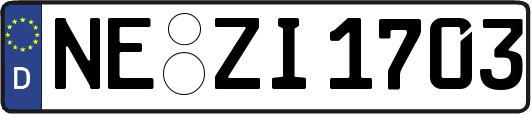 NE-ZI1703