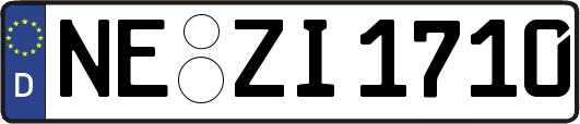 NE-ZI1710
