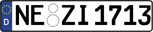 NE-ZI1713