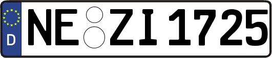 NE-ZI1725