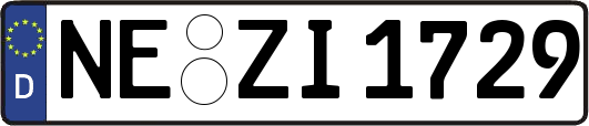 NE-ZI1729