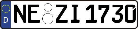 NE-ZI1730