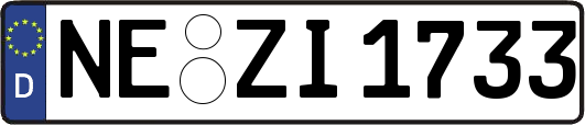 NE-ZI1733