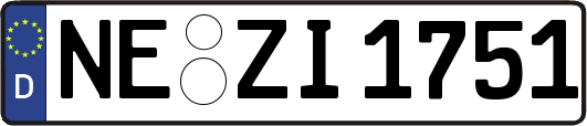 NE-ZI1751