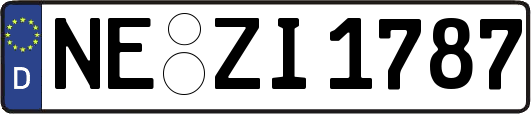 NE-ZI1787