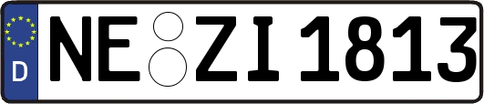 NE-ZI1813