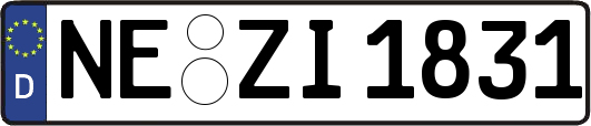 NE-ZI1831