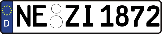 NE-ZI1872