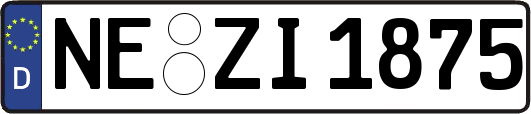 NE-ZI1875