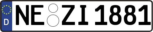 NE-ZI1881
