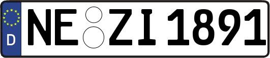 NE-ZI1891
