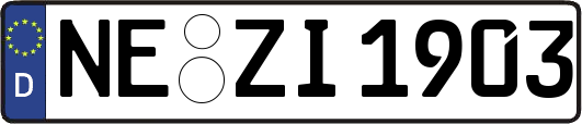 NE-ZI1903