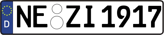 NE-ZI1917