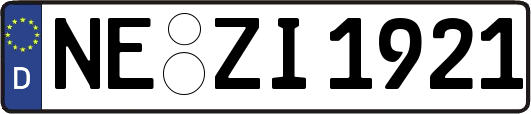NE-ZI1921