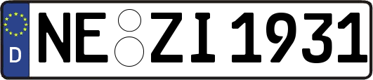 NE-ZI1931