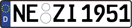 NE-ZI1951
