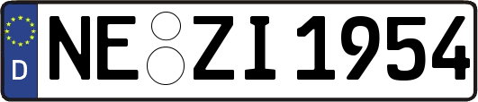 NE-ZI1954