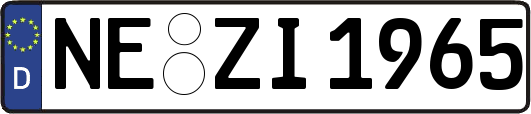 NE-ZI1965