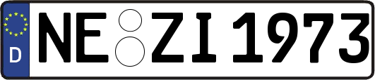 NE-ZI1973