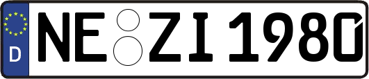 NE-ZI1980