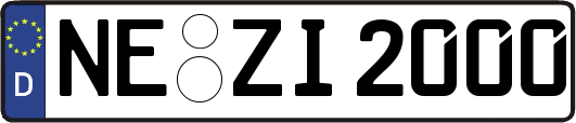NE-ZI2000