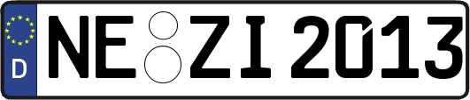 NE-ZI2013