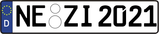 NE-ZI2021