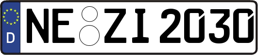 NE-ZI2030