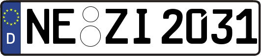 NE-ZI2031