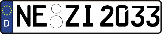 NE-ZI2033
