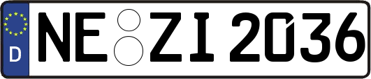 NE-ZI2036