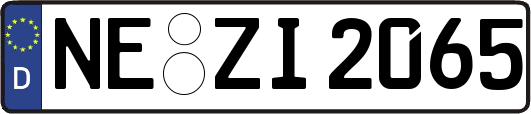 NE-ZI2065