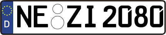 NE-ZI2080
