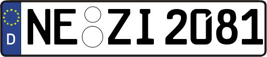 NE-ZI2081
