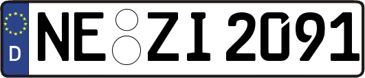 NE-ZI2091